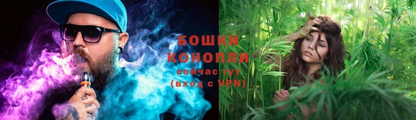 дурь Арсеньев