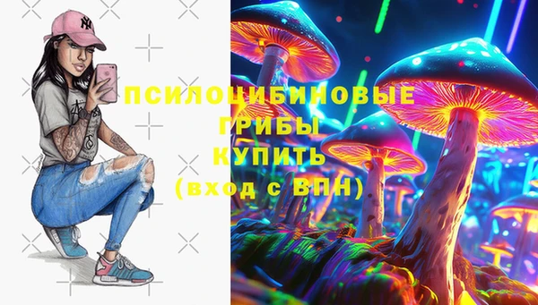 дурь Арсеньев